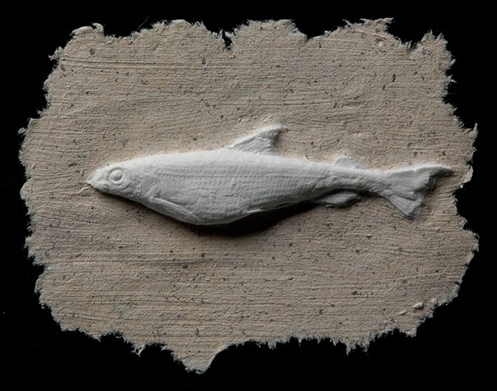 Lonnie Hutson, Pygmy Whitefish
2013, Cast Cotton Paper/ Wood Flour/ Hornet's nest