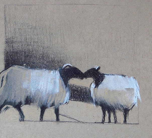 Kathy Gale, Irish Sheep Study #2
2019, charcoal & pastel on paper