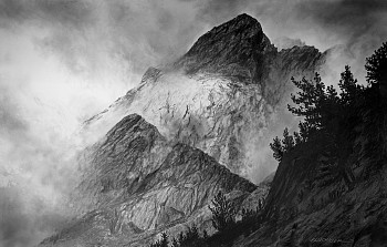 fluc 0005 the trembling middle ground.