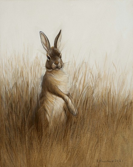 Stephanie Frostad, Alter Hase ("Old Hare" in German)
2021, graphite & oil on art board