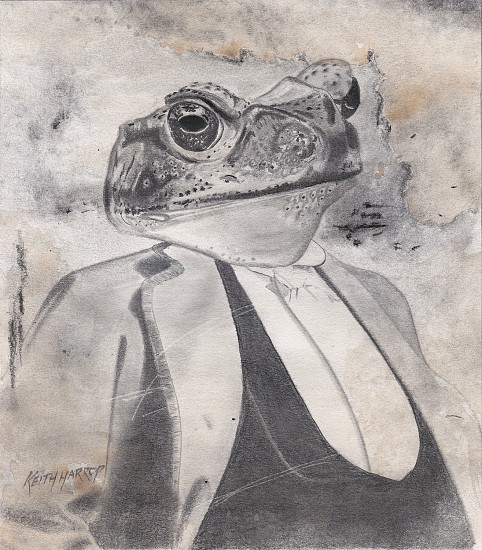 Keith Harrop, Anicurio #6 - Toad
2020, graphite on paper