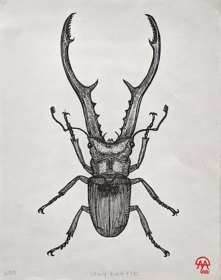 David Miles Lusk, Stag Beetle
2021, woodblock print
