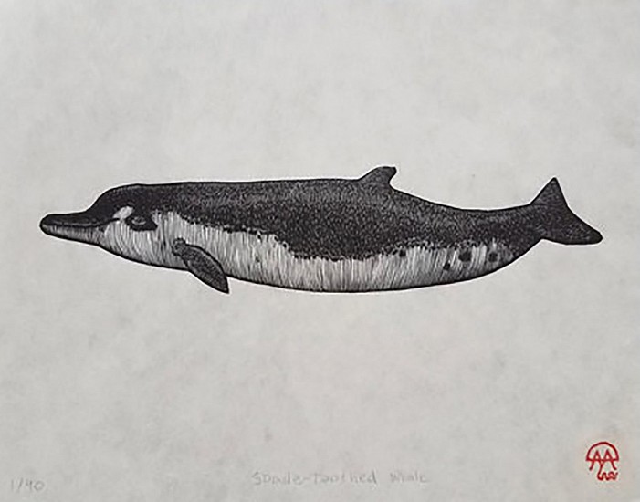 David Miles Lusk, Spade-toothed Whale
2021, woodblock print