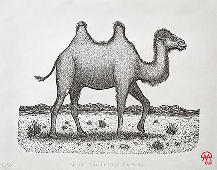 David Miles Lusk, Wild Bactrian Camel
2021, woodblock print