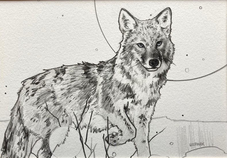 Liz Park, Alaskan Coyote
2021, pencil on paper