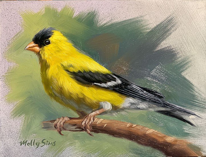 Molly Sims, Male Goldfinch
2022, oil