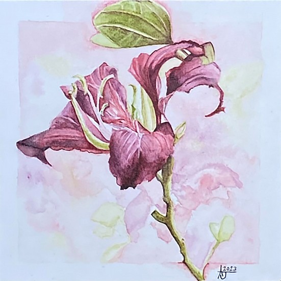 Allan Joubert, Mexican Orchid
2023, Watercolor, 300lb cold pressed 100% cotton