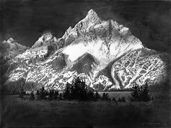 fluk 0043 beneath his gaze