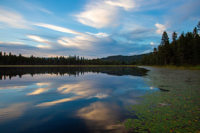 Judy Clark, Shephard's Reflection
2023, photography