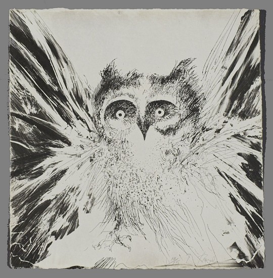 Frank Boyden, Flapping Owl - Edition 10/15
unframed Cliche Verra