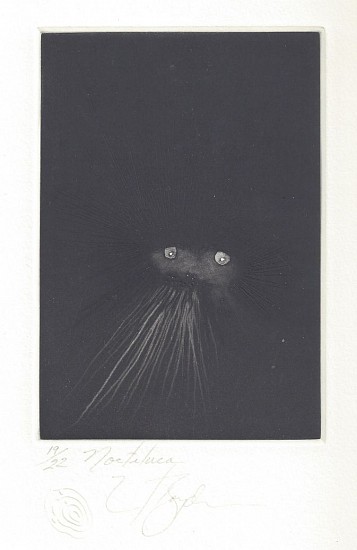 Frank Boyden, Noctaluca, Edition 17/22
etching and drypoint