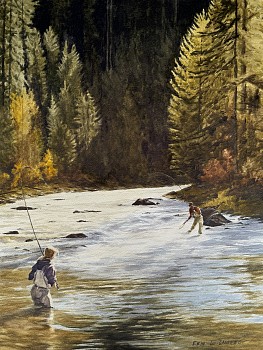 cas 0005 shades of the north fork