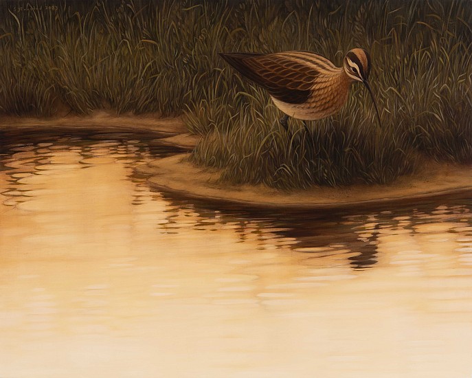Stephanie Frostad, Solitary Curlew
2023, graphite & oil on wood panel