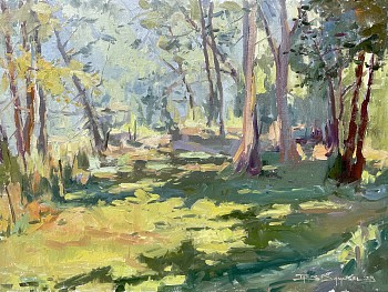 samp 0005 smokey trees