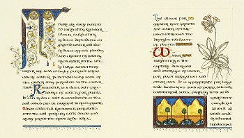 don 0052 sacred manuscript water i