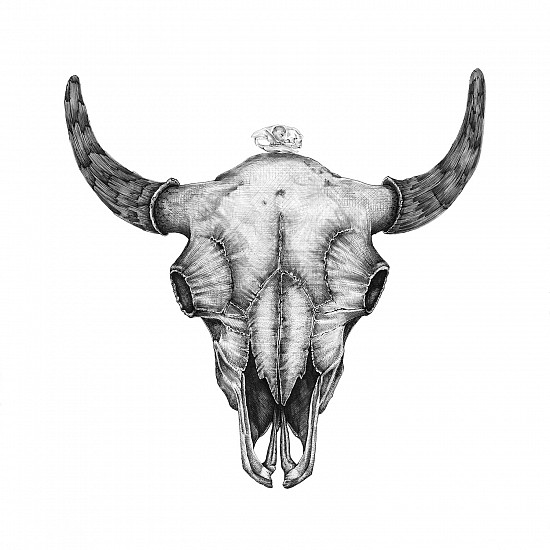 Brittany Finch, American Bison
2024, ink on paper