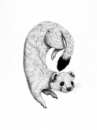 Brittany Finch, Ermine Print
2023, print