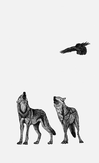 Brittany Finch, Wolves and Raven
2024, ink on paper