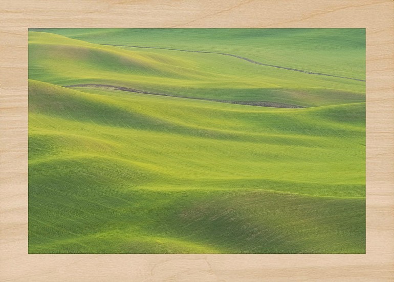 Mike DeCesare, Palouse
2024, wood and paper