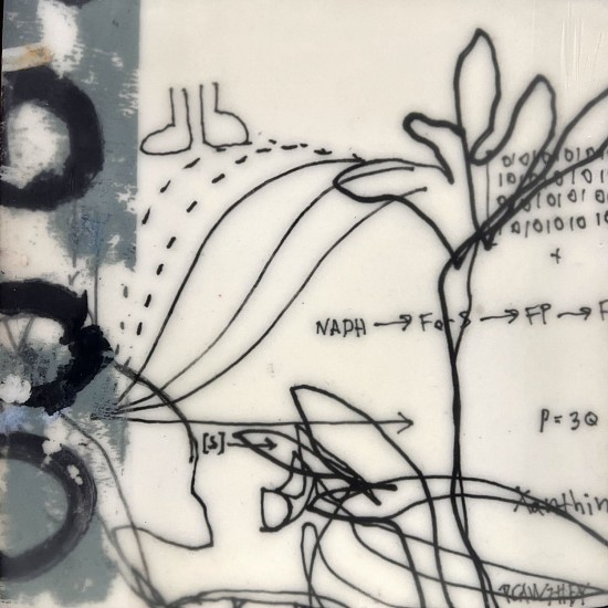 Pamela Caughey, x and y
2023, encaustic