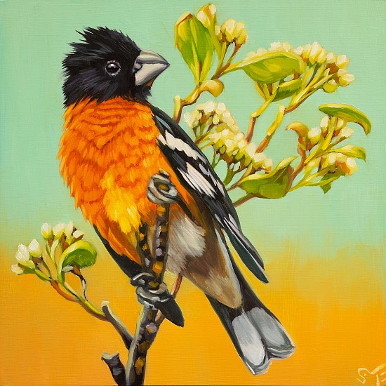 Sheila Evans, Grosbeak Guy
2023, oil