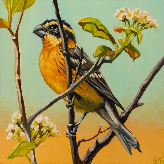 Sheila Evans, Grosbeak Girl
2023, oil