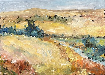 mont 0052 palouse eyebrow