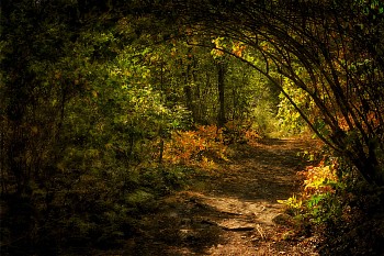 dece 0035 daylight ahead