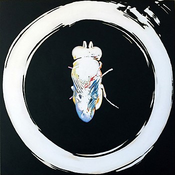 hayk 0006 white bee sm