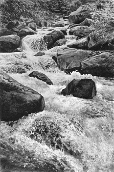 fluc 0046 white noise