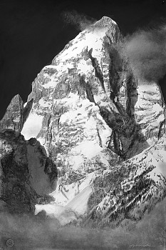 fluc 0050 november rising