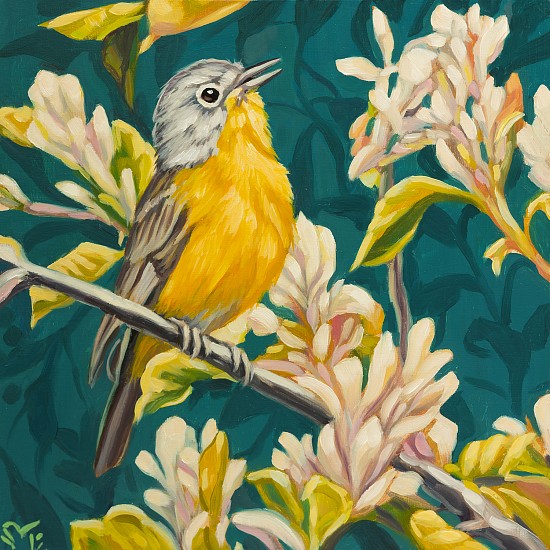Sheila Evans
oil