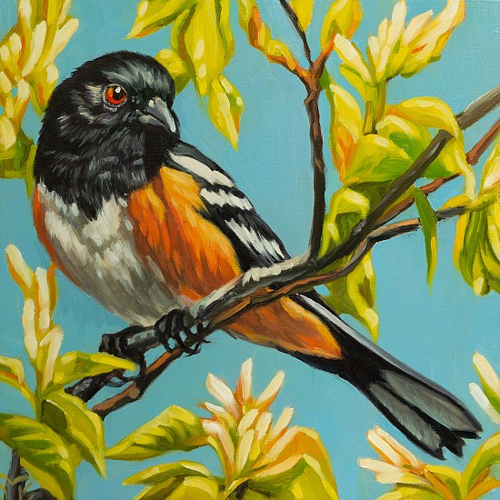 Sheila Evans
oil