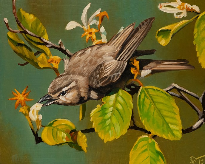 Sheila Evans
oil