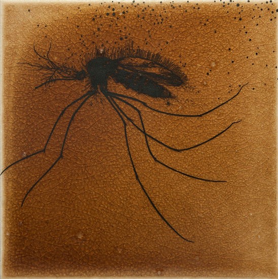 Laura Nuchols
sgraffito technique on glazed tile
