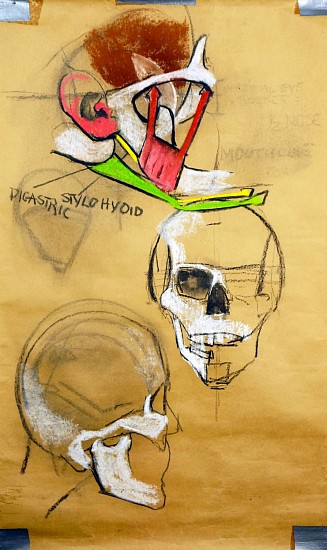 Peter Cox
Pastel and charcoal on paper