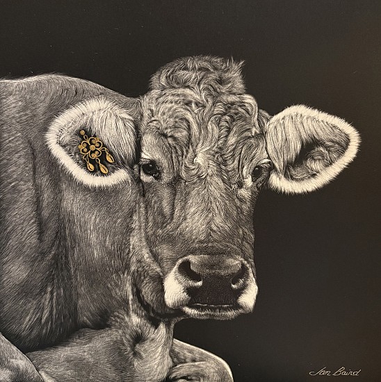 Jan Baird
Scratchboard, 24k Gold Leaf