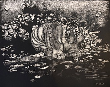 bair 0019 brave new world