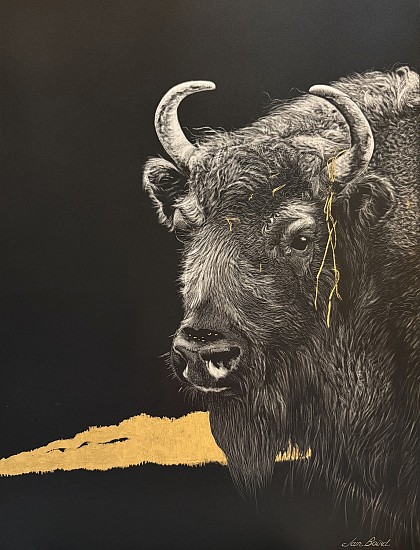 Jan Baird
Scratchboard, 24k Gold Leaf