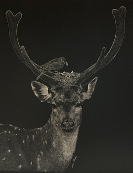 baird room service 10x8