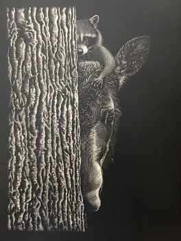 baird hide & seek 12x9