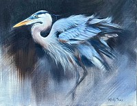SIM 0063 Blue Heron Portrait