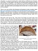 World Globe Project Page