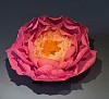 ARIN 0001 Peone Wall Flower