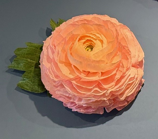 Shawna Arine, Ranunculus Wall Flower
paper