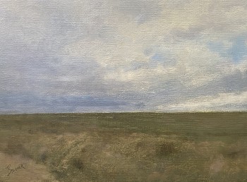 bas 0040 from the side of the dirt road