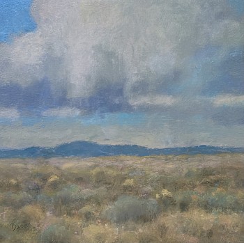 bas 0047 big cloud and sage oil