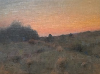 bas 0052 twilight juniper oils