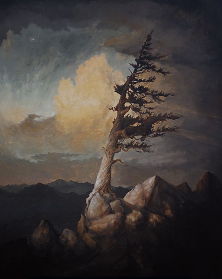 Austin  Frantz
oil