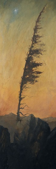 Austin  Frantz
oil
